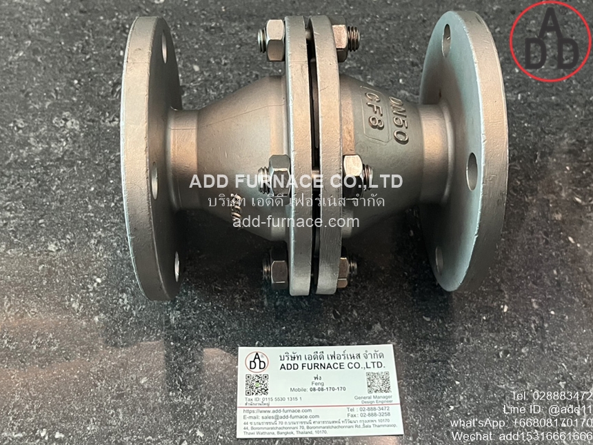 Arrester Fire Back Valve Flange DN50(1)